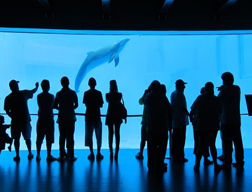 Turibus + Acuario de Veracruz