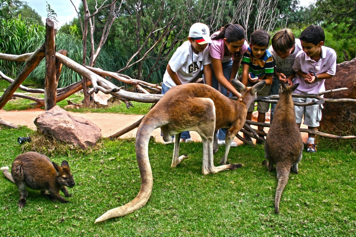 Turitour Africam Safari