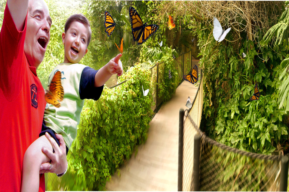 Turitour Africam Safari