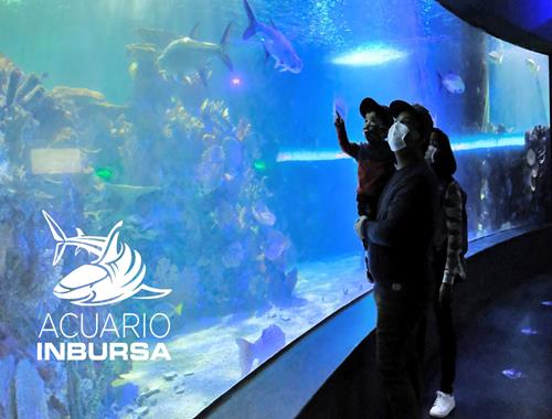 Turibus + Acuario Inbursa