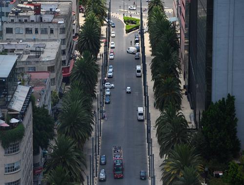 Turibus + Mirador Monumento a la Revolución